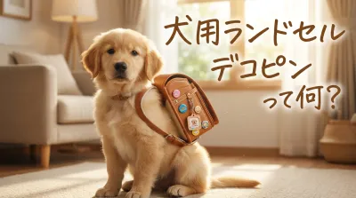 犬用ランドセルデコピンって何？