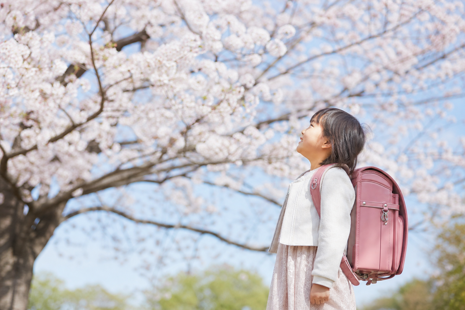 桜とランドセルの写真をうまく撮る方法って?