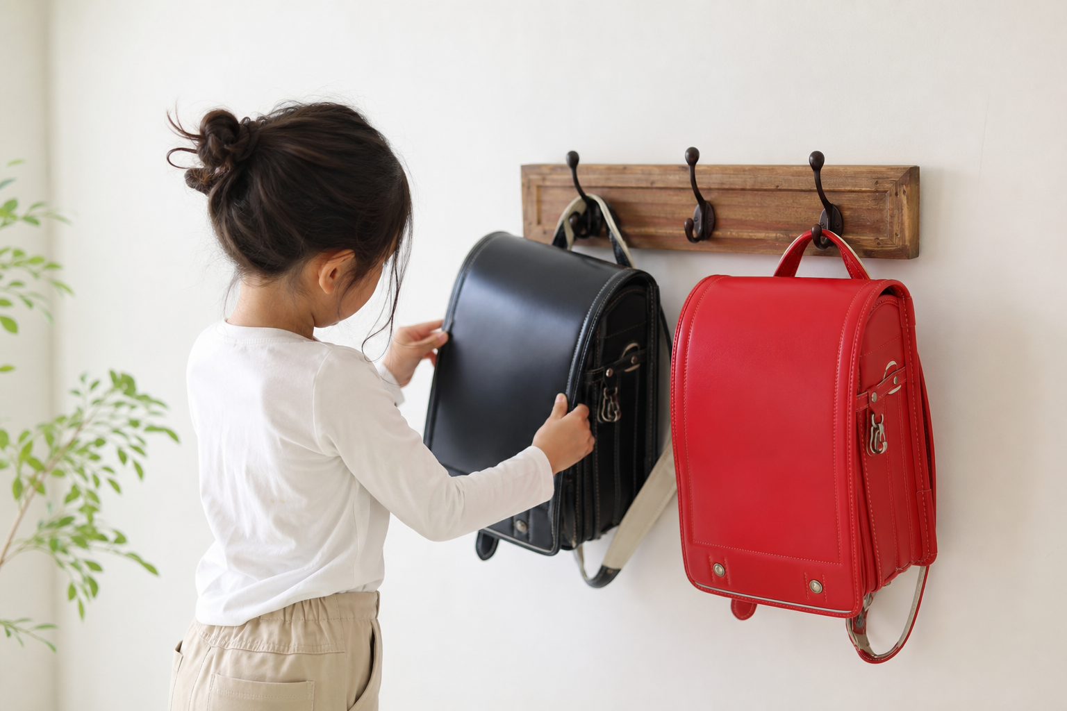 結論:「かわいそう」かどうかは、状態と伝え方次第です