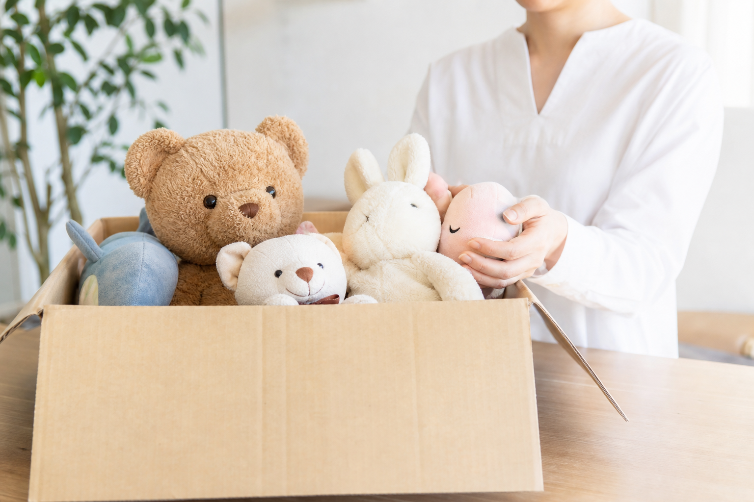 東京でのぬいぐるみ持ち込み寄付、結論からお伝えします
