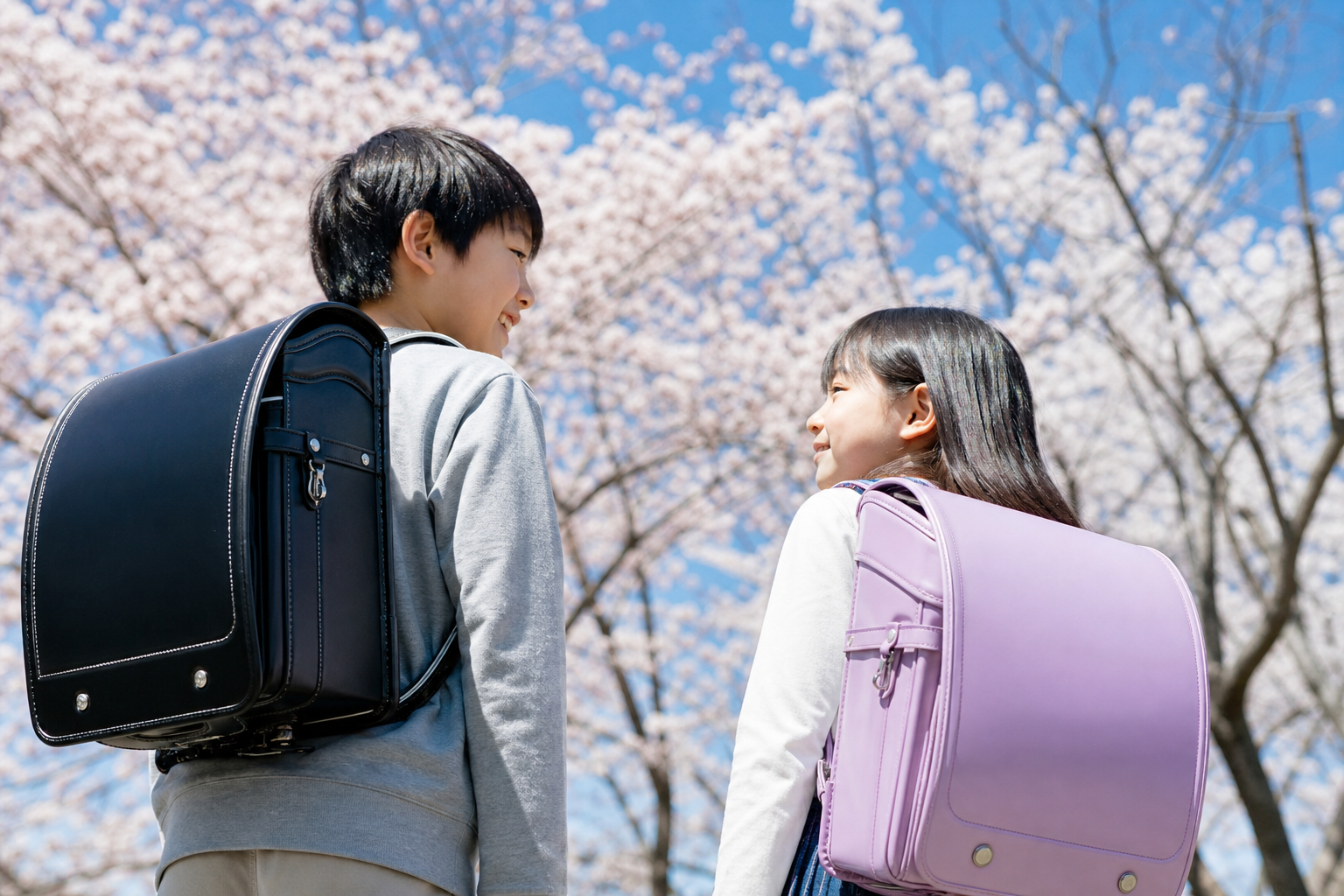 さんぽセルの具体的な特徴と社会的反響を見てみよう