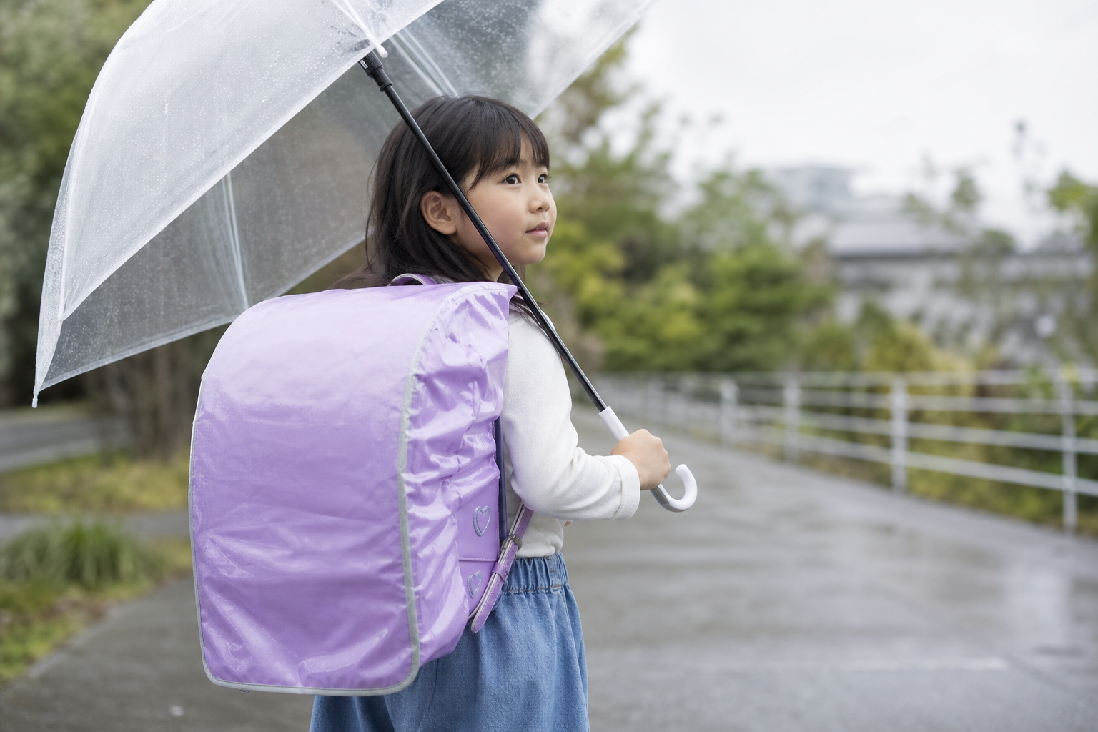 雨の日だけ使うなら「レインカバー」が正解です