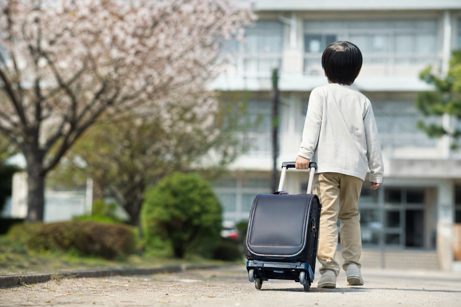 批判は感情論だけじゃない。でも、すべてが正しいわけでもないんです